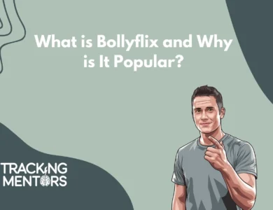 Bollyflix