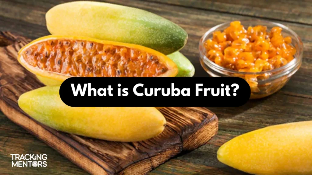 What is Curuba Fruit