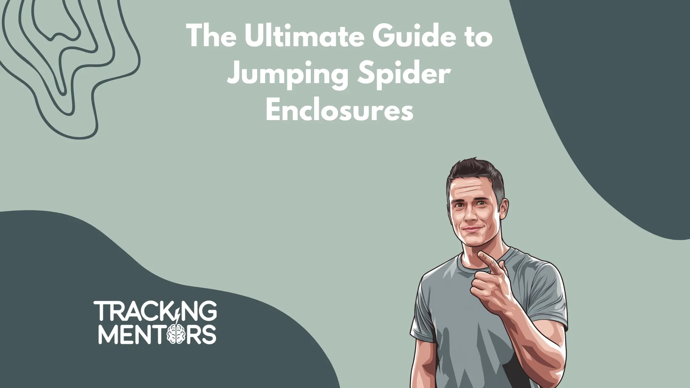 Jumping Spider Enclosures